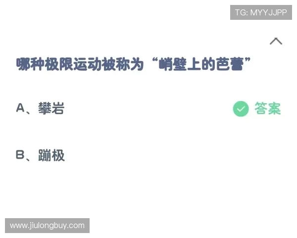 成都极限运动队的防守策略与热点分析探讨